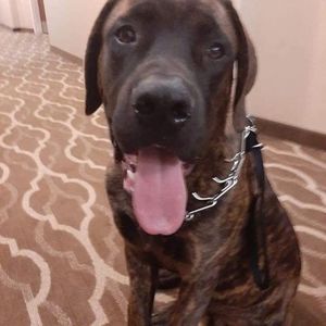 Meet your Posher, Jack